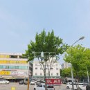 상록빌딩 앞 이미지