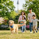 펫토이동물병원 이미지