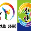 용인대진안태권도장 이미지