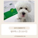 산소농장 | "TV동물농장 수의사 추천?"직접 급여해 본 벨라맥스 강아지 관절 영양제 급여 후기