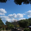 캠프예그리나 이미지