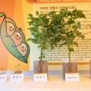 장단콩전시관 티스토리
