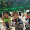 문상초교 병설유치원 이미지