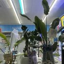 지에스25 목포대반점 이미지