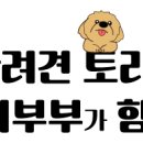 카페디스토리 이미지