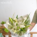 제피레토