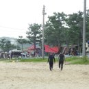 죽도서프러프