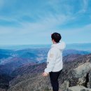 동탄 청림태권도장 이미지