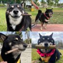 고집 - 은평구 | 고집