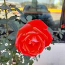 민가네한식당 이미지