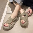 볼드슈 이미지