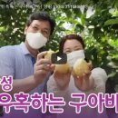 JI농장2 이미지