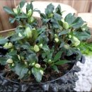 북하면사무소 이미지