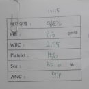 4층샘약국 이미지