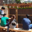 유곡초등학교 이미지