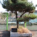 남본2리남산경로당 이미지
