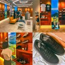 맹그로브 제주시티 이미지