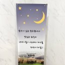 위드몽 | 송파애견카페/ 잠실애견카페/송파 위드몽