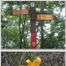 건천IC Daum카페