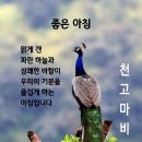 10월15일 금요일 뉴스브리핑 이미지