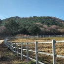 (주)천아