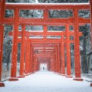 신사2-005 이미지