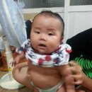 정든목장 이미지