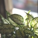 호계참한의원 이미지