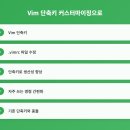 VIM 이미지