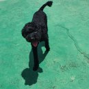 더 리얼 짐 이미지