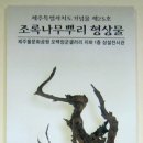 조록나무 뿌리 형상물 이미지