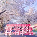 온나펜션 이미지