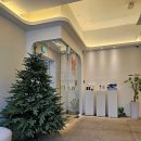 더블유티메소드 클래시 압구정점 | 머리카락 얇아지는 고민, 임상성공사례로 답을 찾다!