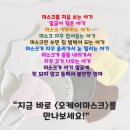 참이누리 이미지