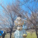 며느리 친정집 화전 이미지