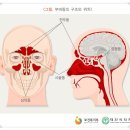 바로경희한의원 네이버블로그