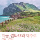 정순화손두부 이미지