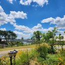 편안농장 이미지