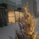 설국펜션 | 강원도 양양 펜션ㅣ풀라운지펜션 - 감성숙소에서 프라이빗한 커플여행 (하조대 도보 5분)