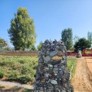 동읍751 | [창원 가볼만한 곳] 대산플라워랜드 코스모스·핑크뮬리·천일홍 총집합.