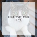 미술감상과 비평 네이버블로그