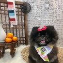 옐레드 송파헬리오시티점 이미지