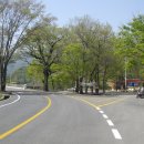 고향에봄 이미지