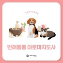 티케이에듀
