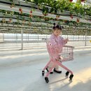 화순아이샘터어린이집 | 광주 근교 아기랑 딸기체험 화순 스윙베리 취식가능!!