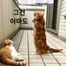 탑노래연습장 이미지