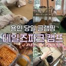 비비보드까페 | 용인 테일즈파크 캠프 애견글램핑 솔직한 내돈내산 후기, 여름철 야외 돔 이용 꿀팁과 주의할 점