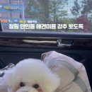 뽀도독 이미지