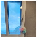 감포로 민박 이미지