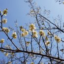 운파고택 이미지